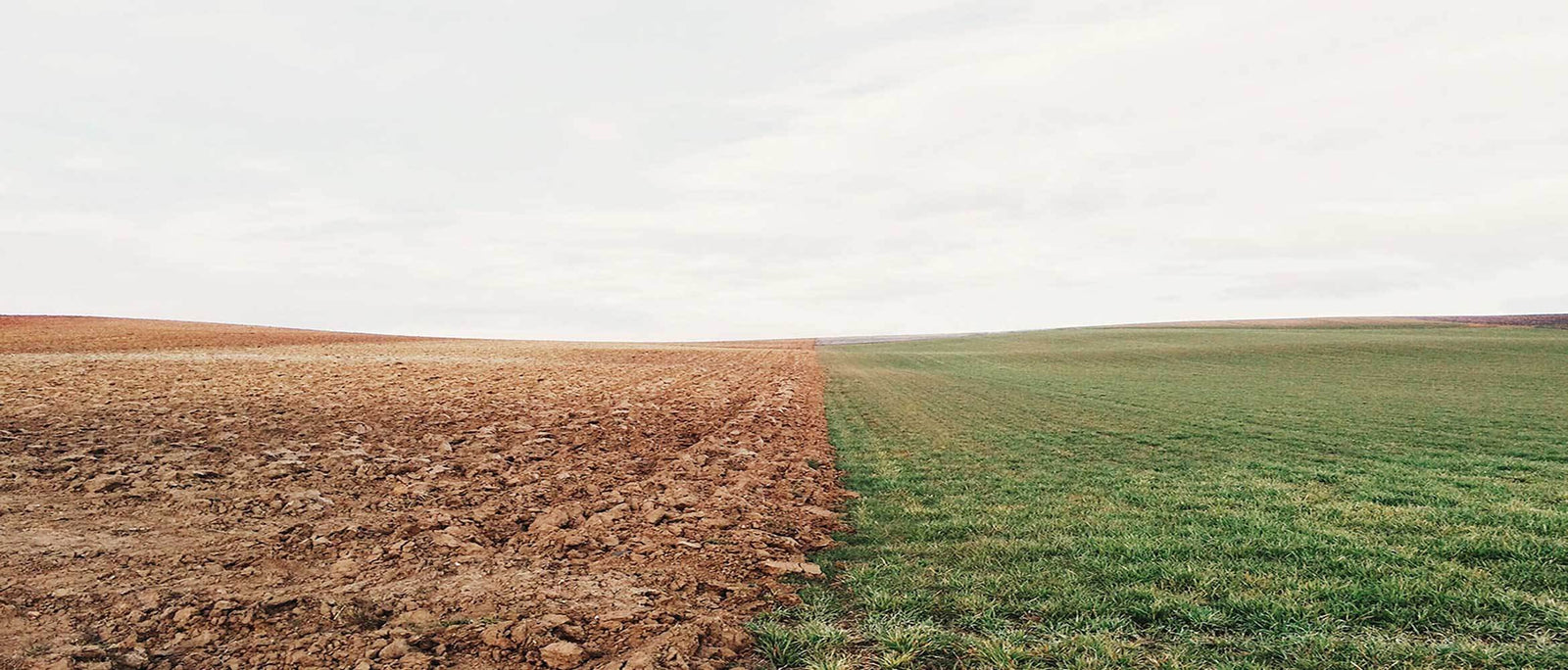 Eco Series: Sustainable? For Who? | WildBounds