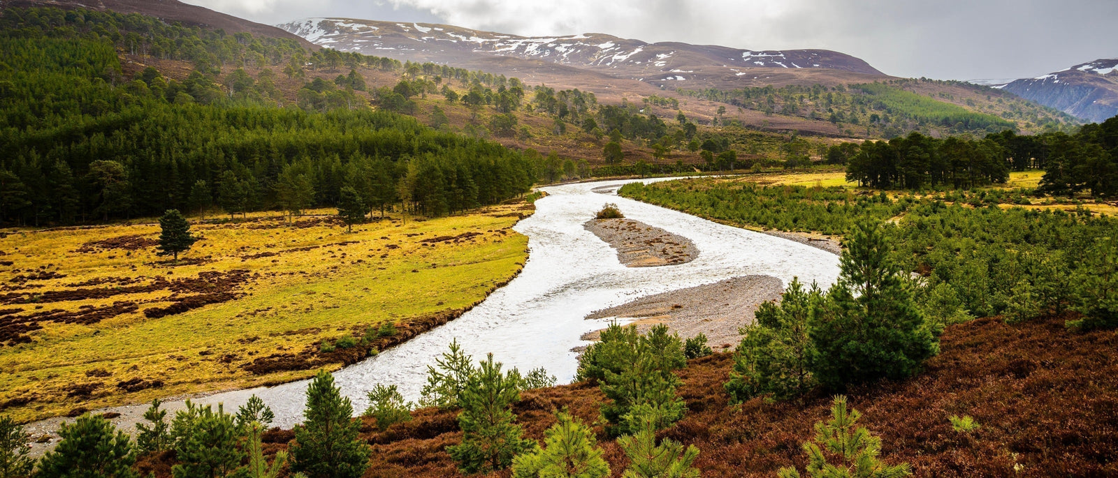 View over River Feshie in Glen Feshie, Cairngorms National Park. Image by Jon Sparks via Alamy.