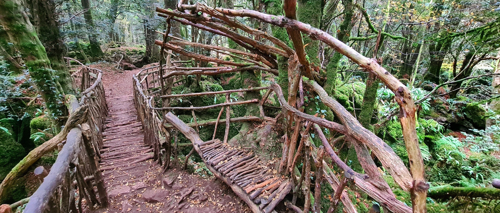 The rustic wooden walkways, winding steps and dirt paths of Puzzlewood in the Forest of Dean were used as the backdrop for the forest planet of Takodana from Star Wars: The Force Awakens