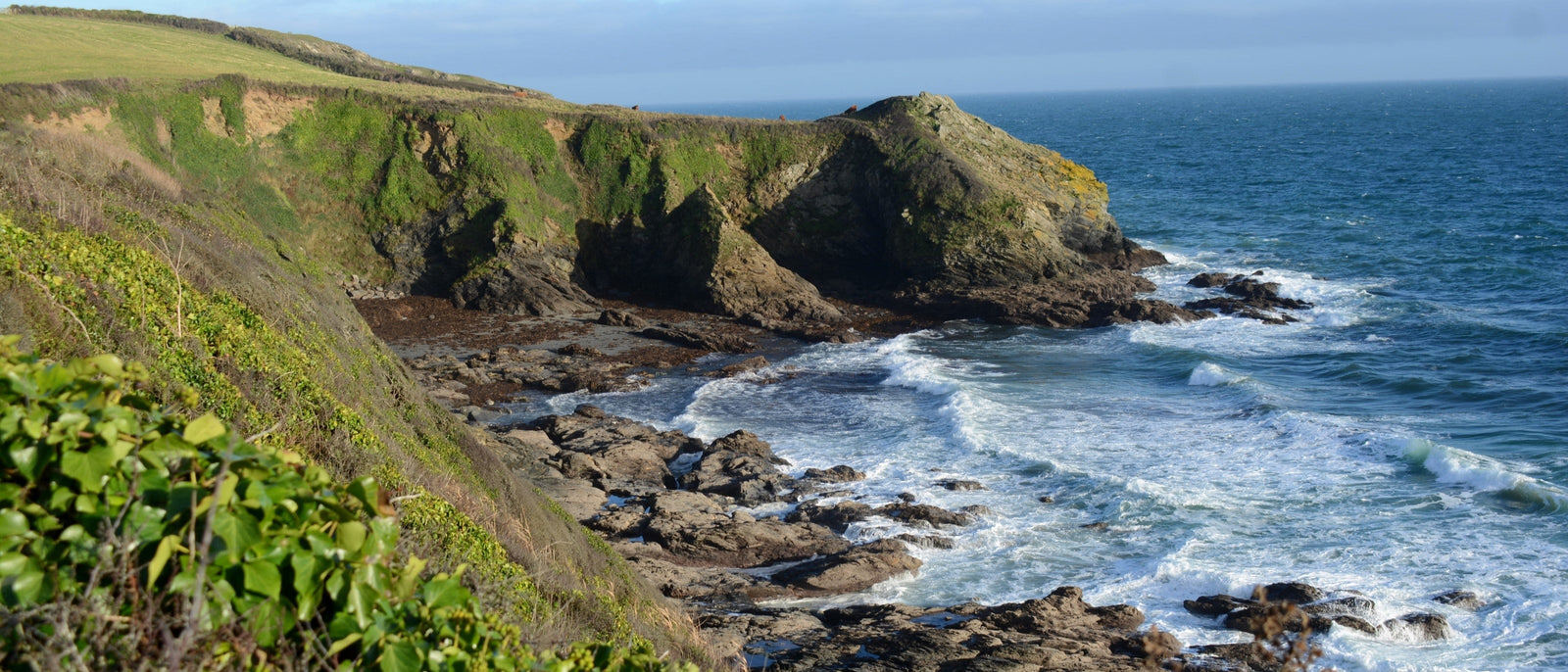 Beginner’s Guide to Coastal Foraging | Outdoor Larder | WildBounds UK