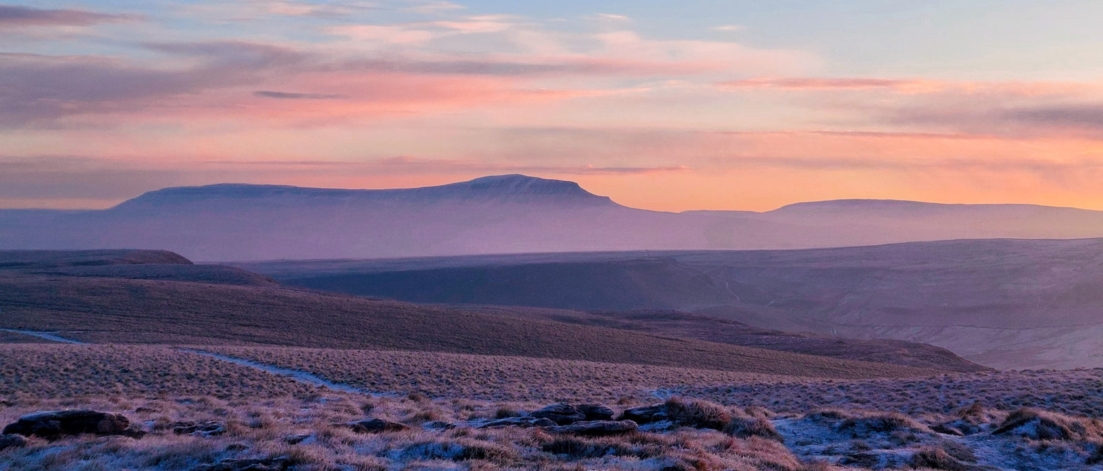 Field Guide: Yorkshire Dales | Field Guides | WildBounds UK