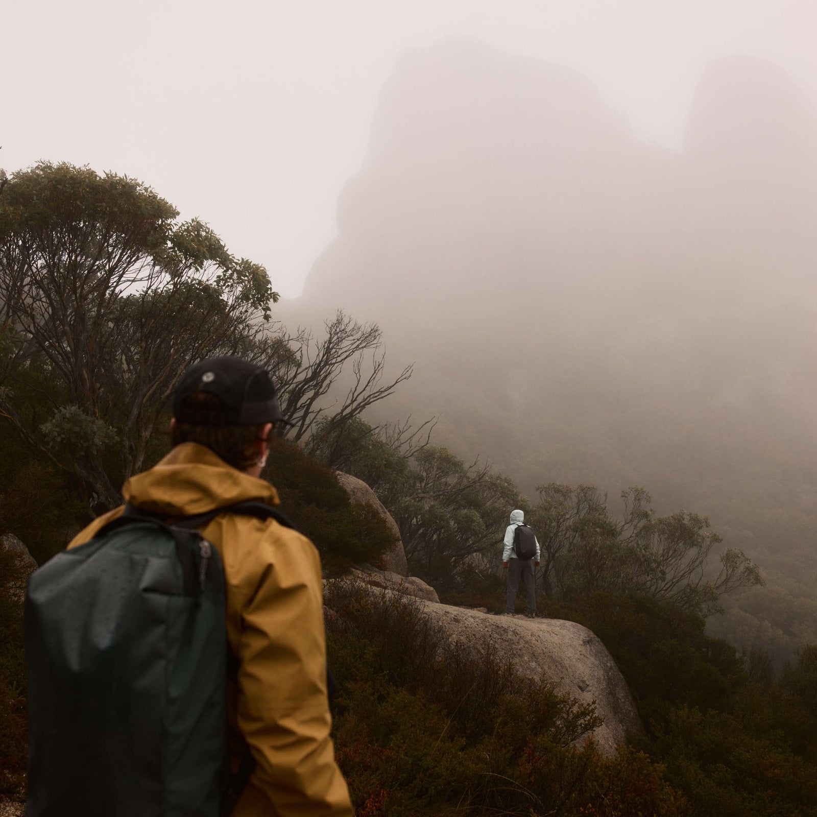 Venture Grab Pack Bellroy BVPA-DON-246 Backpacks One Size / DeepOcean