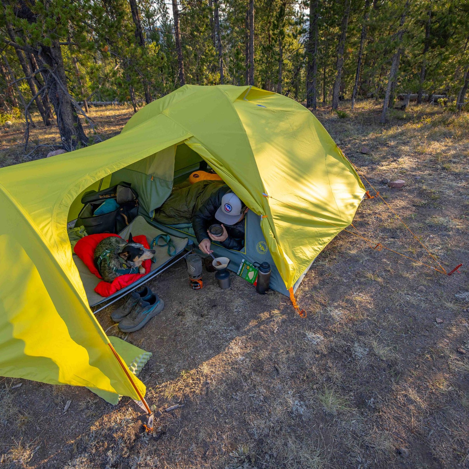Blacktail Hotel 3 Big Agnes TFFBT325 Tents 3P / Warm Olive/Chinois Green