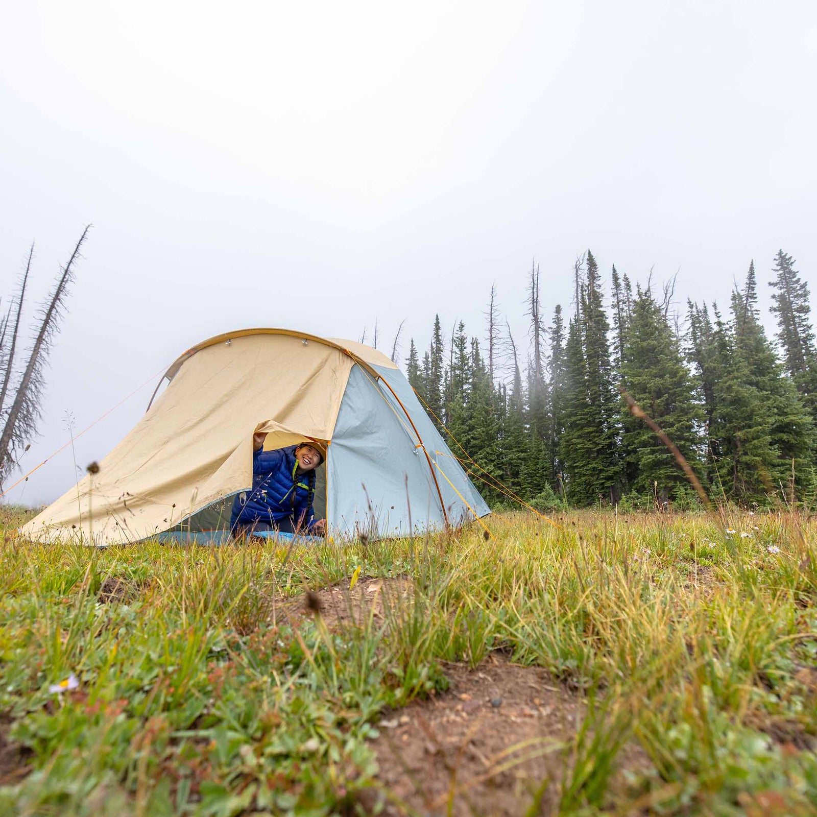Bunk House 6 Big Agnes TBUNK625 Tents 6P / Prairie Sand/Chinois Green