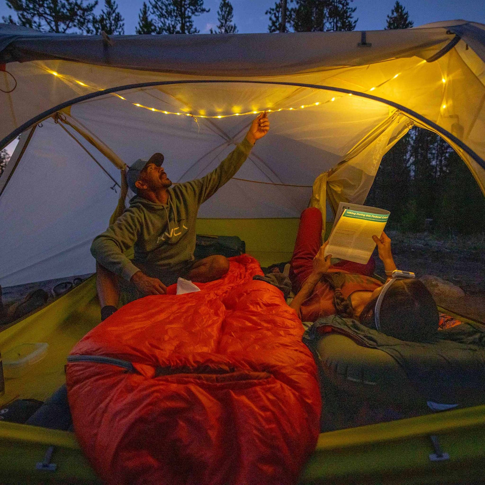 Salt Creek 3 Big Agnes TSC326 Tents 3P / Gray Violet/Warm Olive