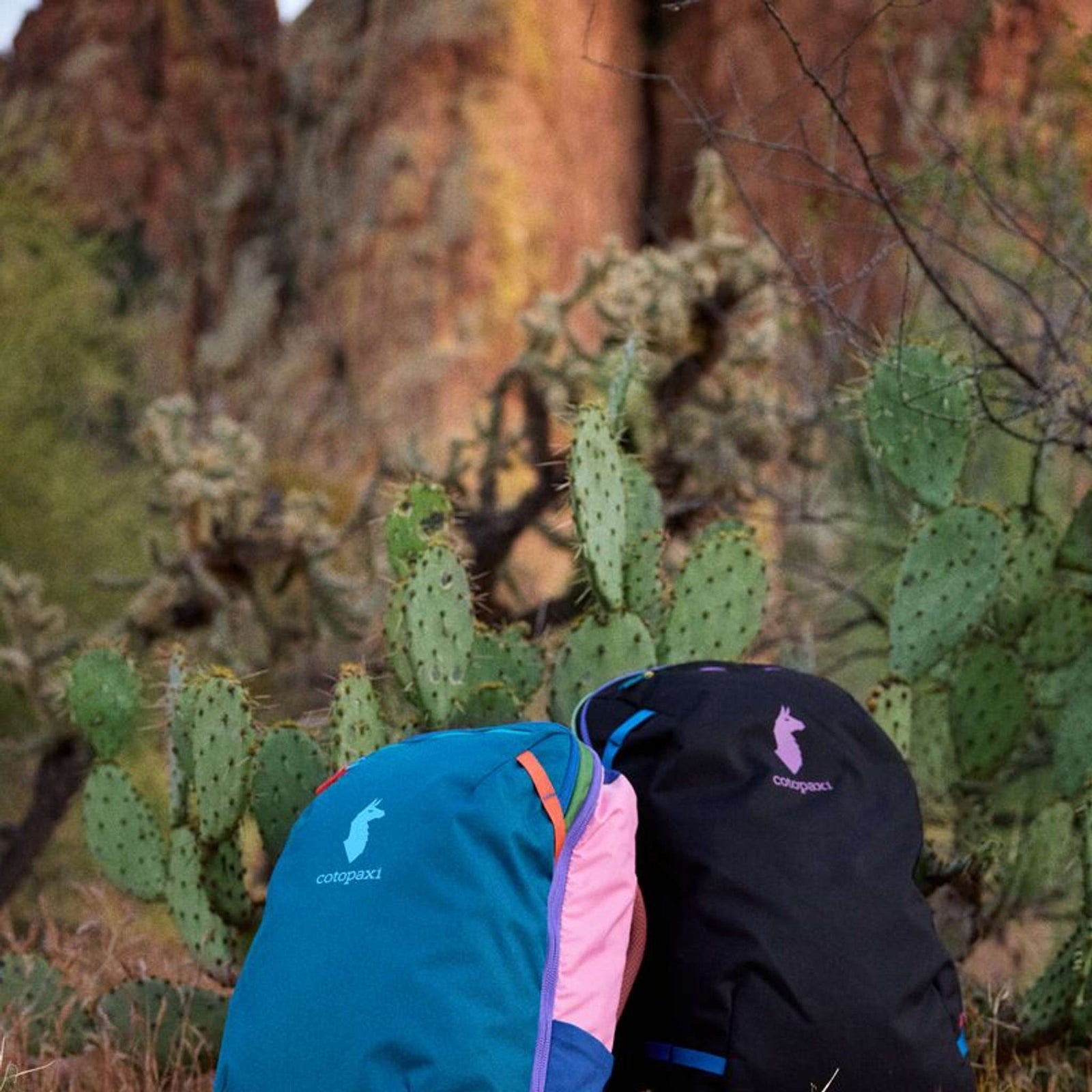 Allpa 28L Travel Pack | Del Día Cotopaxi A28-F25-DDD Backpacks 28L / Del Dia Dark
