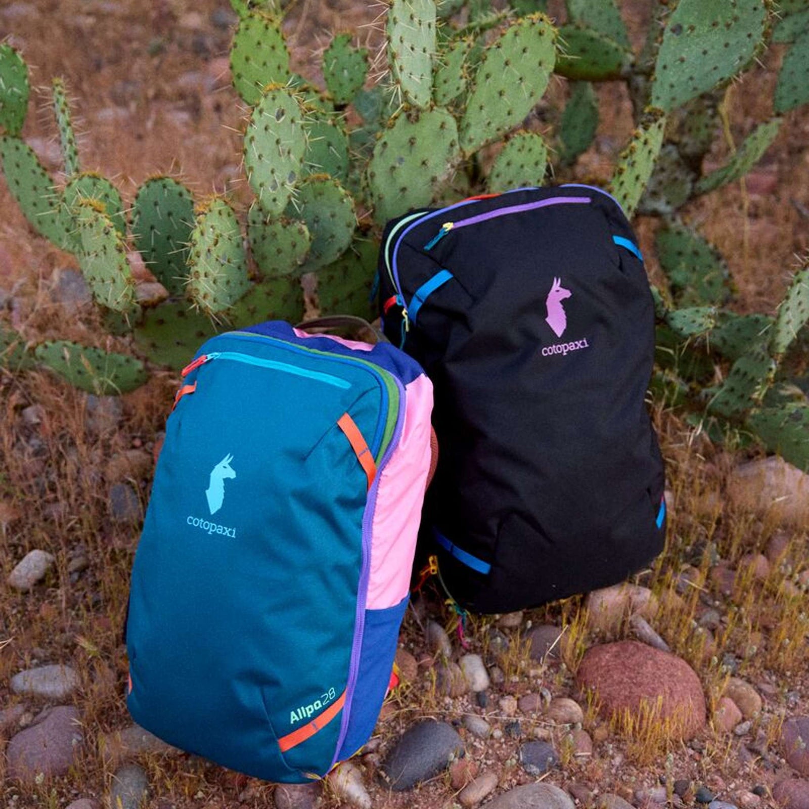 Allpa 42L Travel Pack | Del Día Dark Cotopaxi A42-F25-DDD Backpacks 42L / Del Día Dark