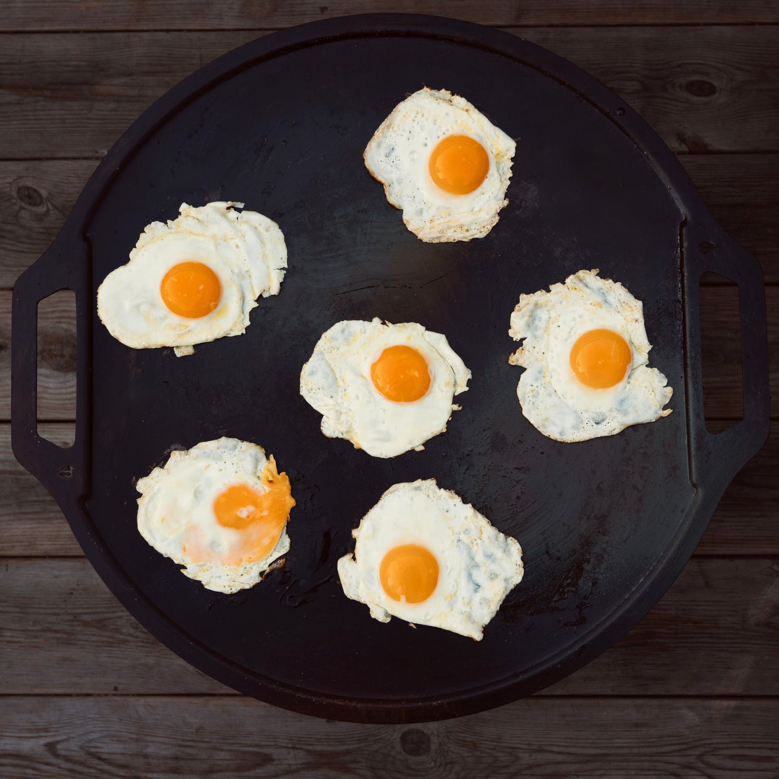 Dalum Griddle Dalum Grills