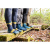 Bear Town Micro Crew Lightweight | Cushion | Women's Darn Tough Women's Socks