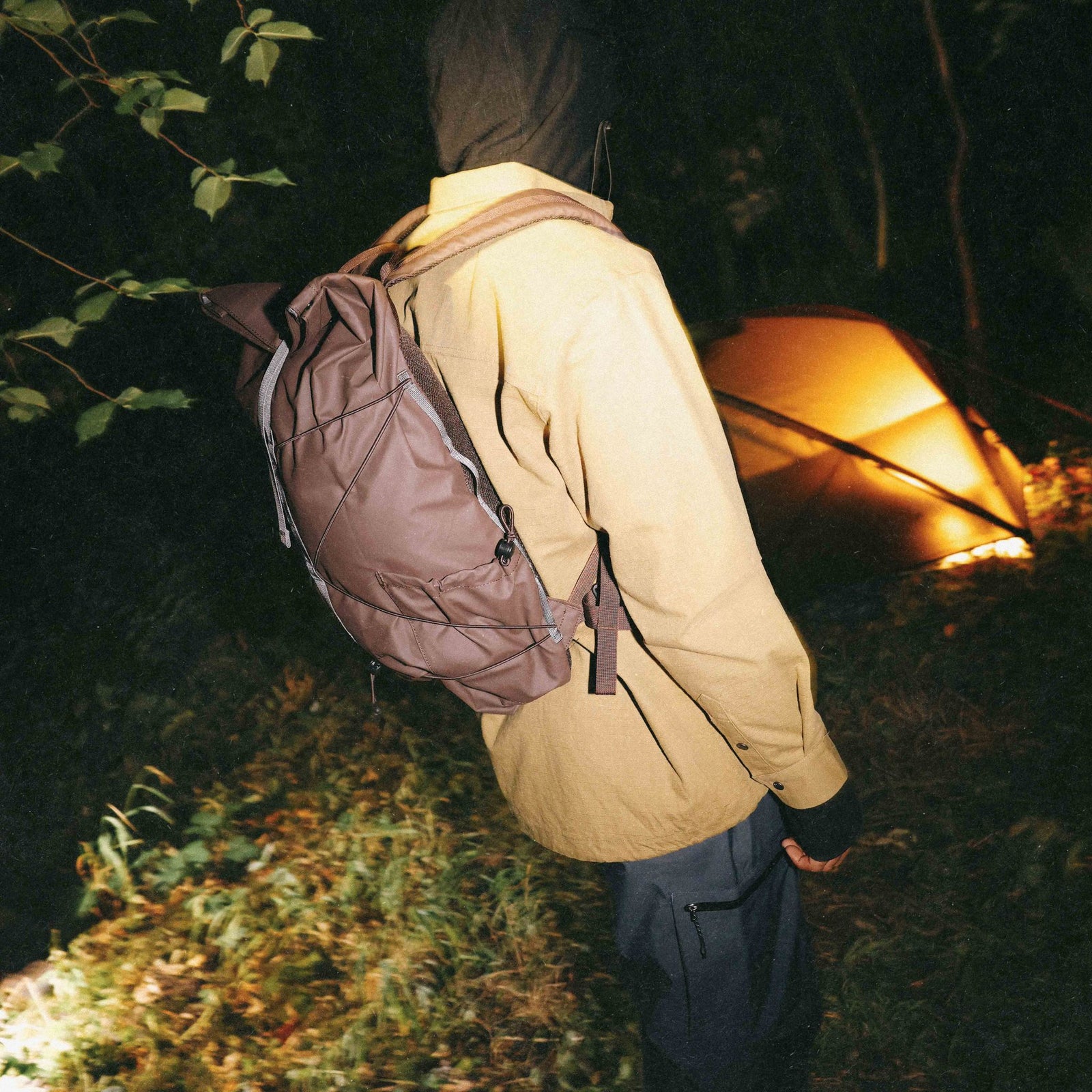 Dayle Roll Top Backpack
