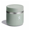 20 oz Insulated Food Jar Hydro Flask RF20374 Food Containers 20 oz / Agave