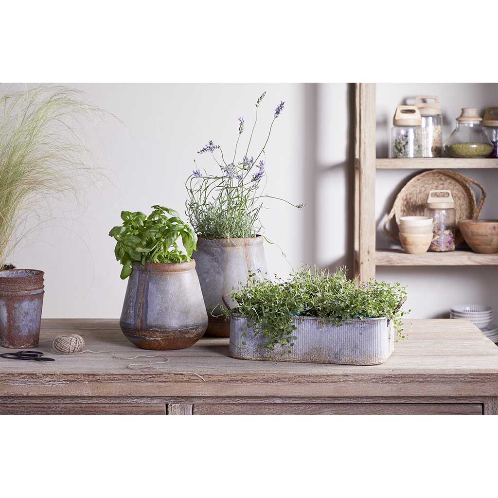 Japos Outdoor Planter Tray nkuku JT1501 Planters One Size / Aged Zinc