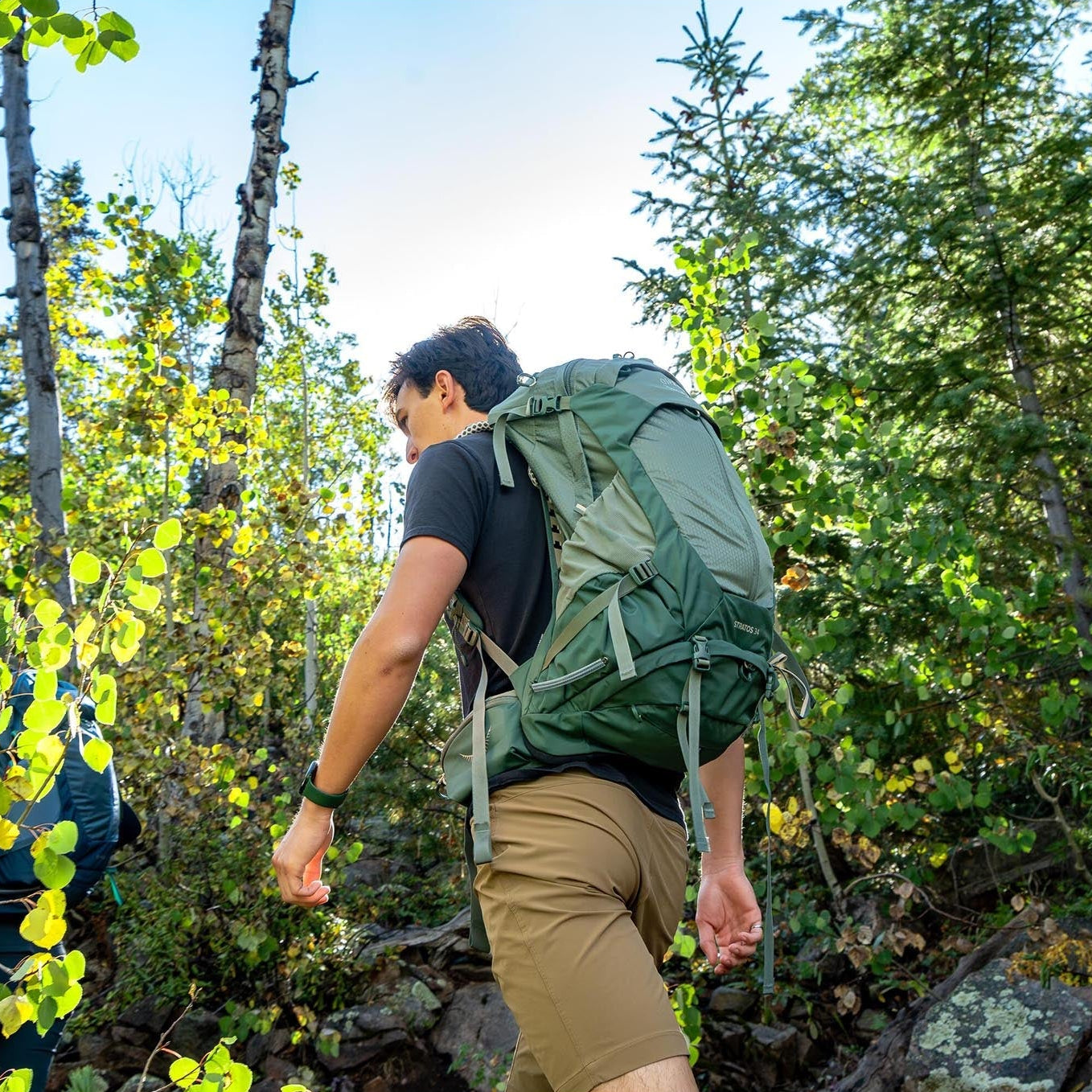 Stratos 34 | Men's Osprey 10007531 Backpacks OS / Pine Leaf