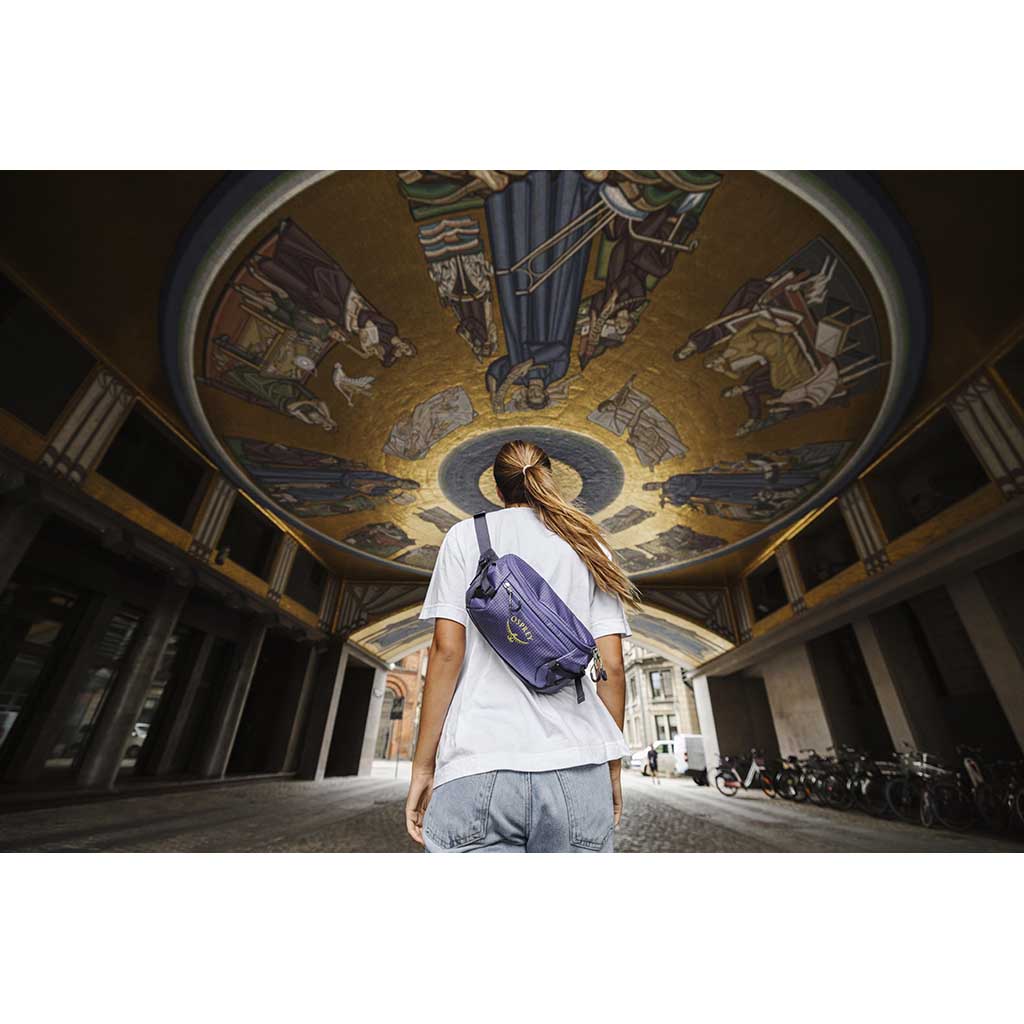 Transporter Waist Pack Osprey 10006531 Bumbags O/S / Euphoria Purple/Purple Ink