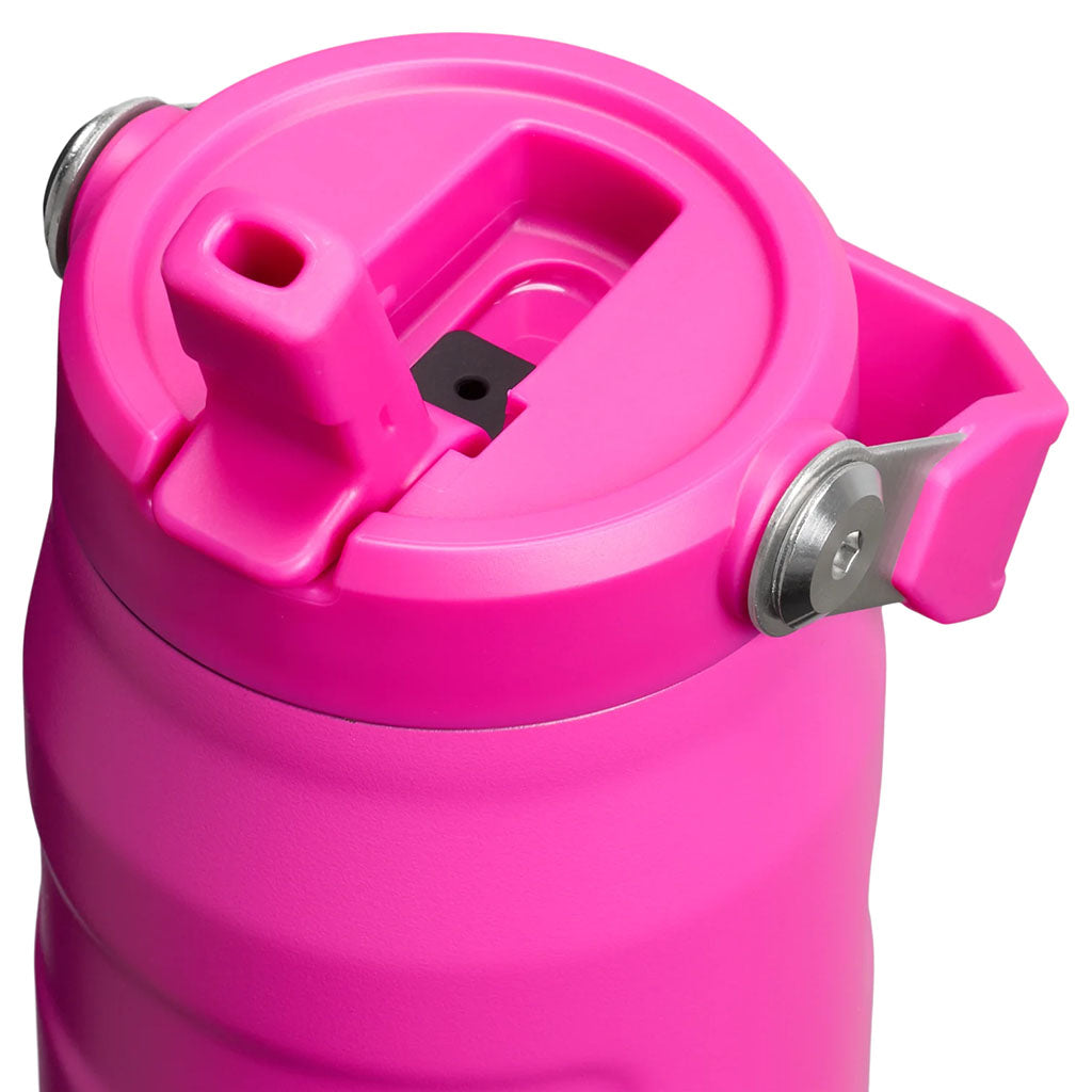 IceFlow Bottle Flip Straw 2.0 Stanley Tumblers