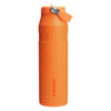 IceFlow Bottle Flip Straw 2.0 Stanley 10-11283-395 Tumblers 700ml / Goldenrod Coral