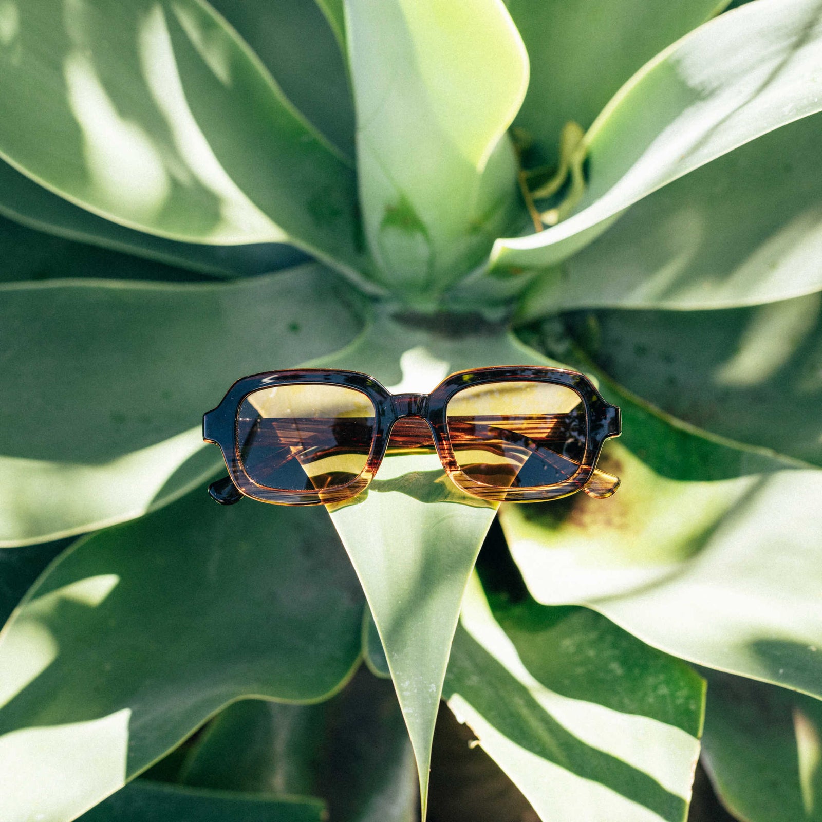 Lago Sunski SUN-LA-WTA Sunglasses One Size / Wire Tortoise Amber