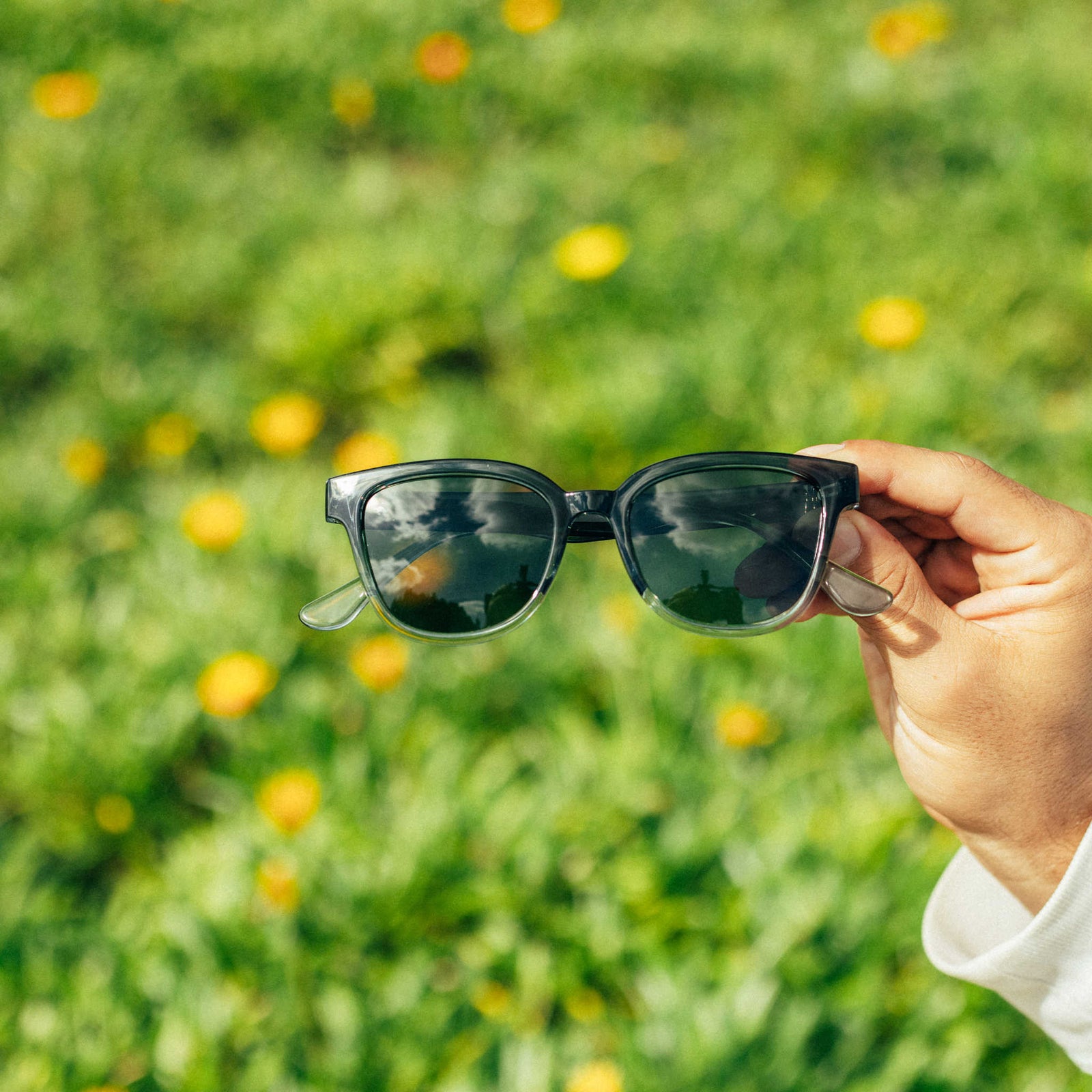 Miho Sunski SUN-MI-PFF Sunglasses One Size / Pine Fade Forest