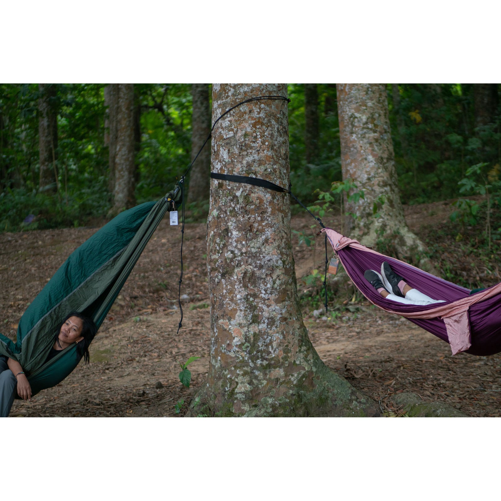 King Size Hammock Ticket To The Moon TMK0585 Hammocks 320 x 230mm / Dark Green/Leaf Green