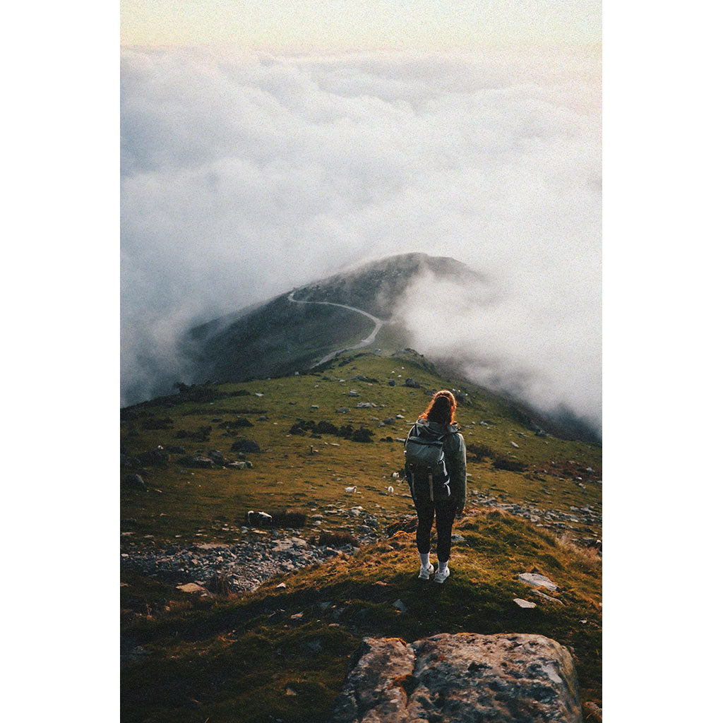 Rover Pack Classic Topo Designs 932436350 Backpacks 20L / Oil Green/Dark Pine