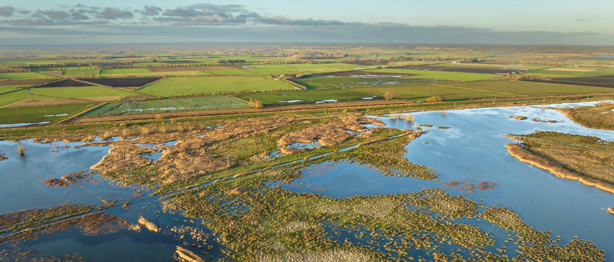 Wicken Fen in Cambridgeshire is at the forefront of UK wetland conservation, restoring native fen, creating reedbeds and protecting peatland. (Photo courtesy of National Trust Picture Library)