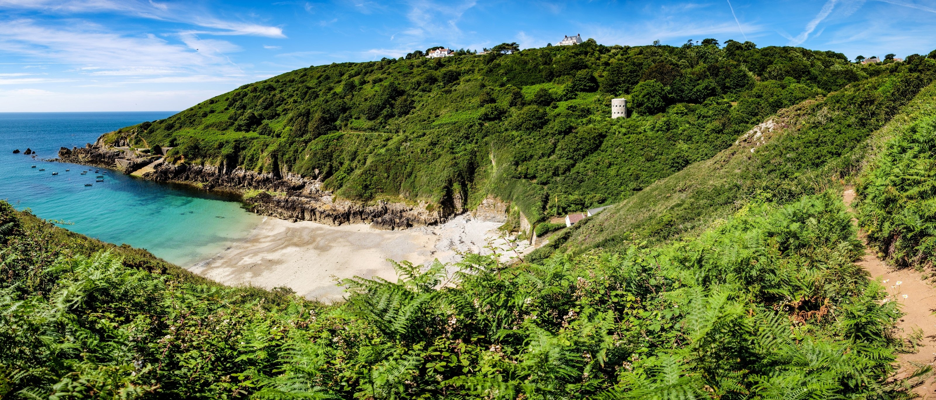 Field Guide: Guernsey, Channel Islands