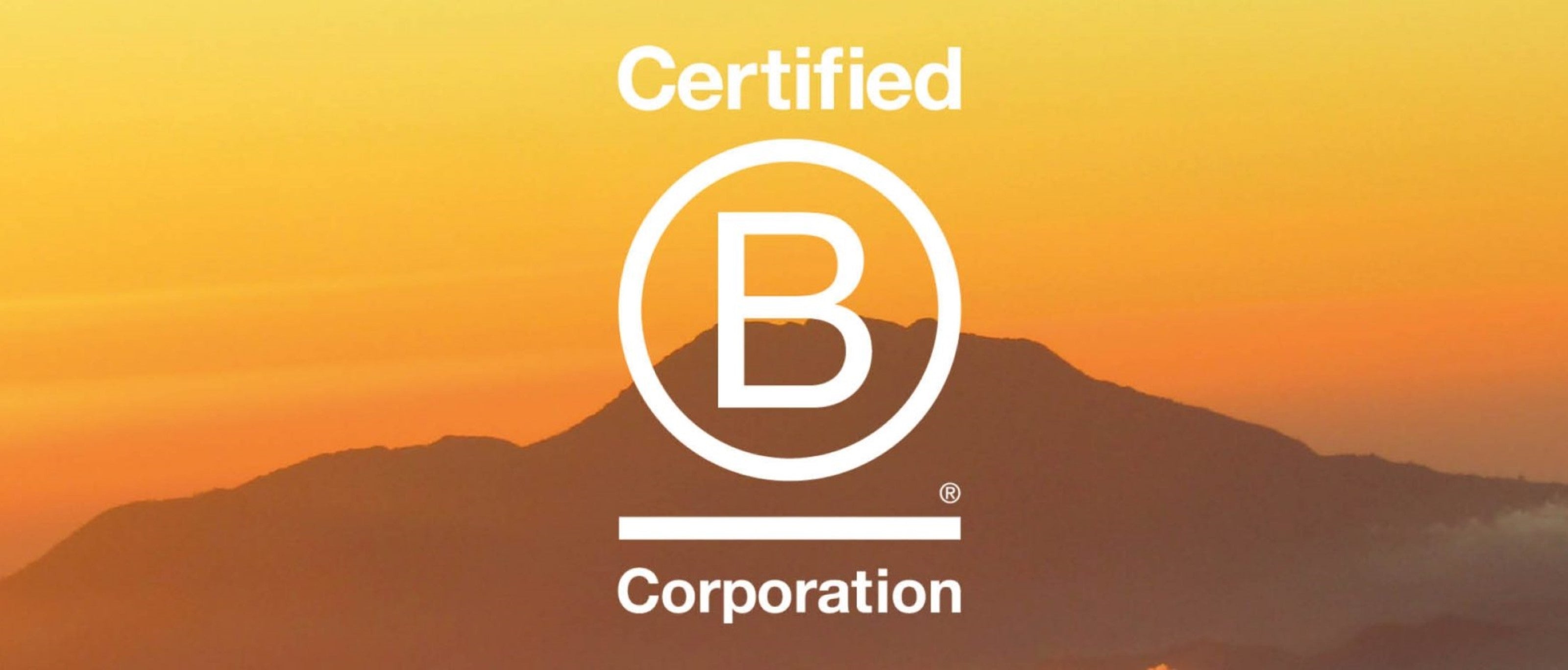 What is a B Corp? And Why Do They Matter?