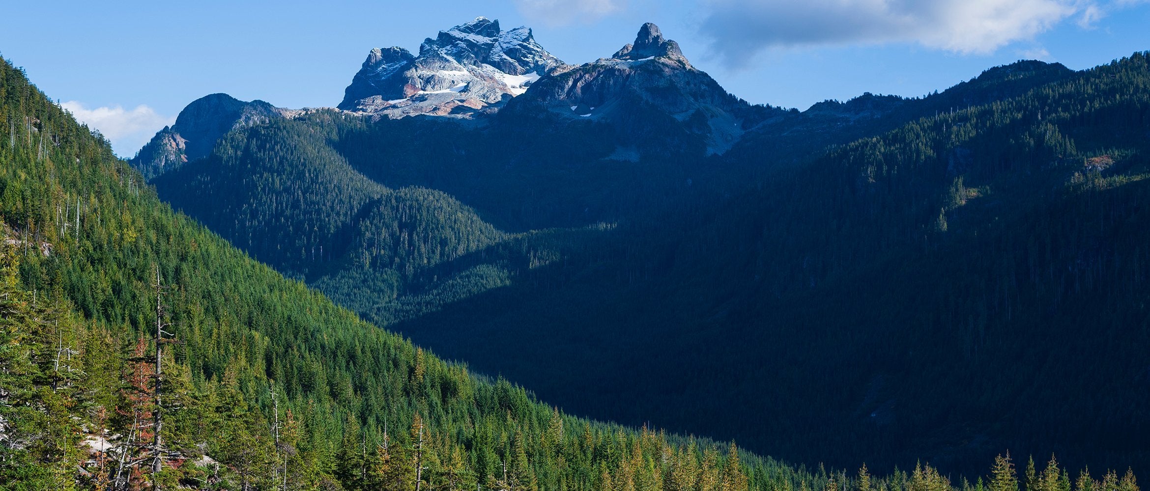 Wolves, Bears and Us: Hiking Canada's Algonquin Park | WildBounds