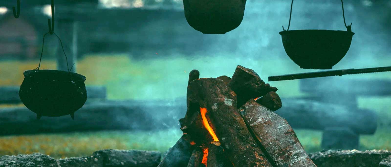 Recipe: Steak & Ale Stew | WildBounds