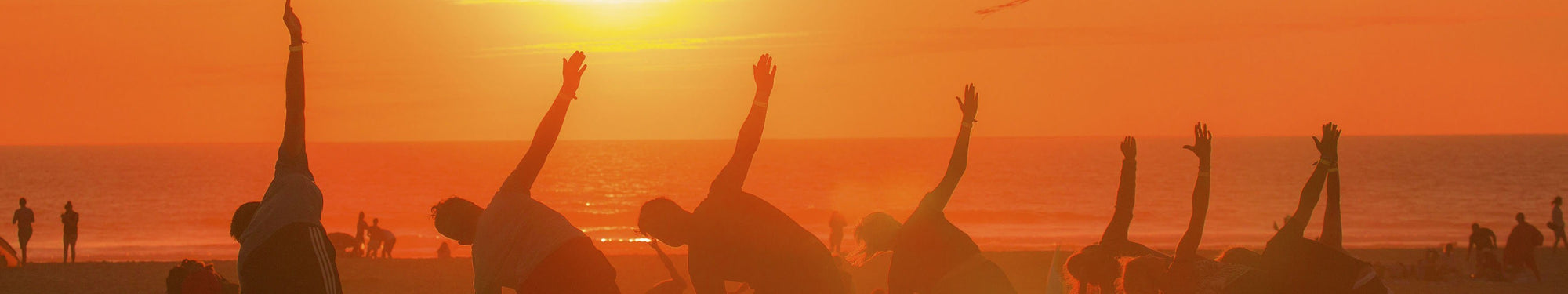 Empfohlenes Kit für die Aktionskultur
