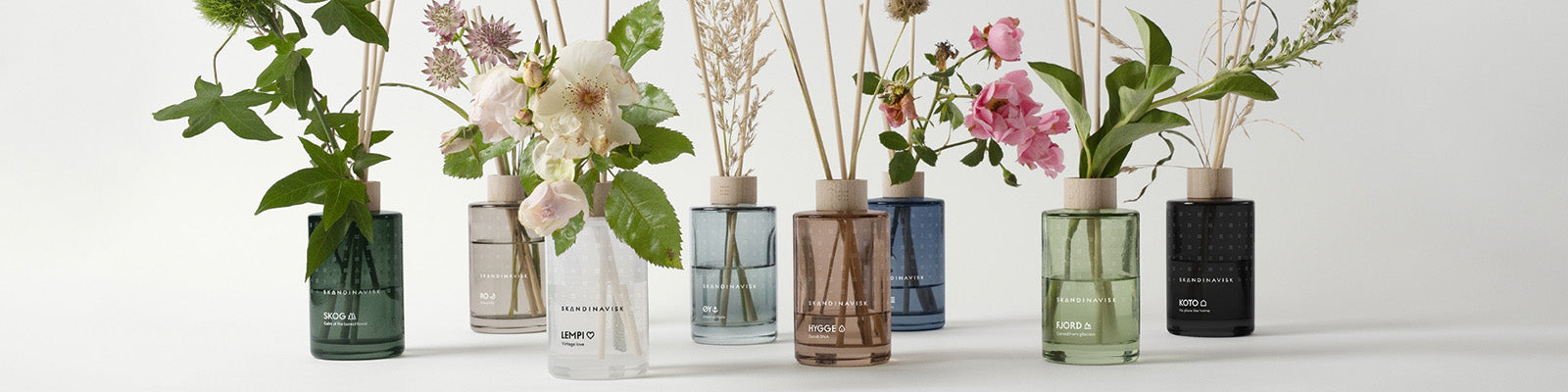 Schilfrohr-Diffusoren