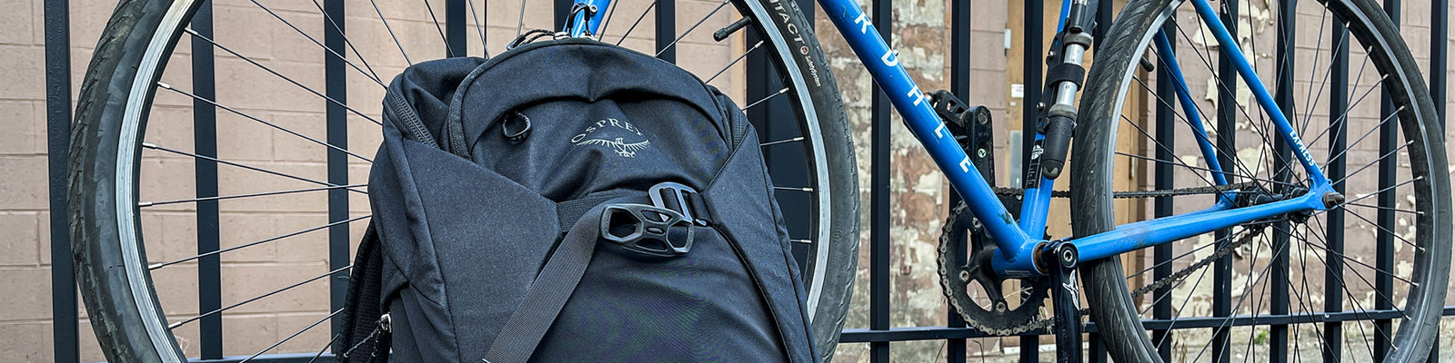 Fischadler | Metron Bereich