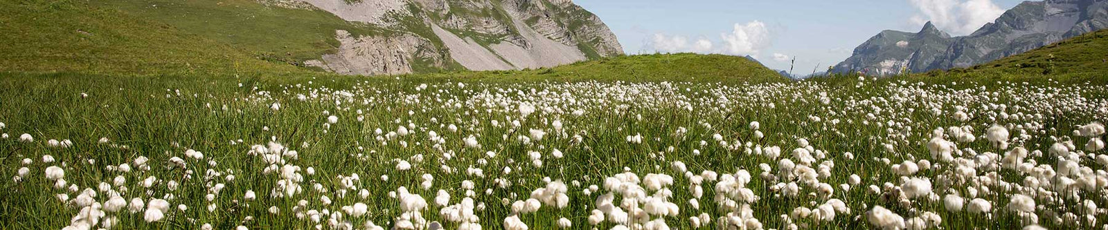 Hergestellt mit Bio-Baumwolle