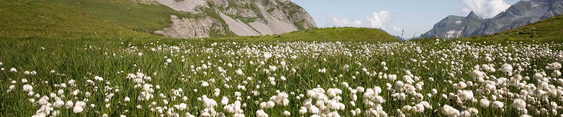 Hergestellt mit Bio-Baumwolle