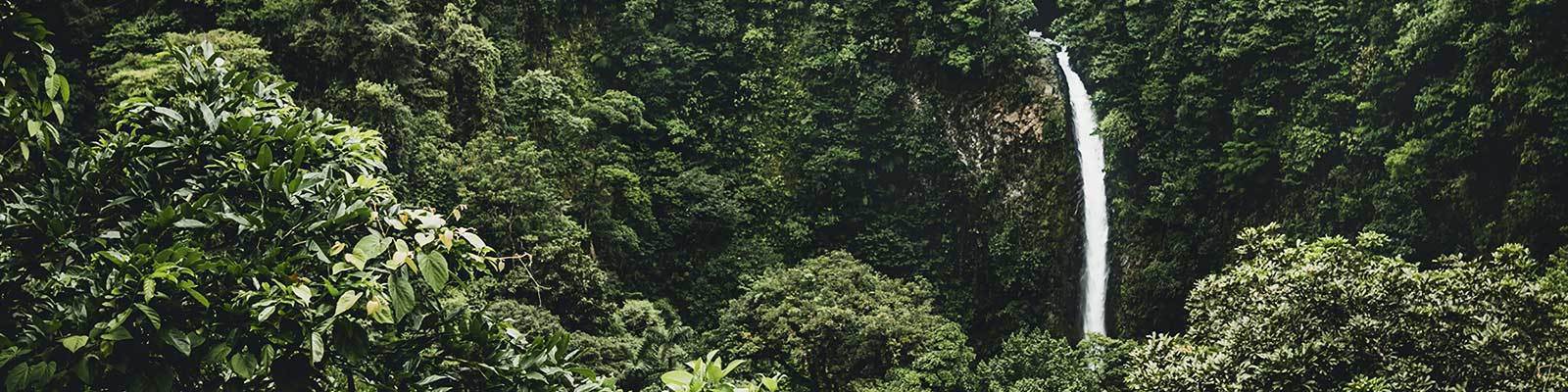 Umweltfreundliche Kollektion