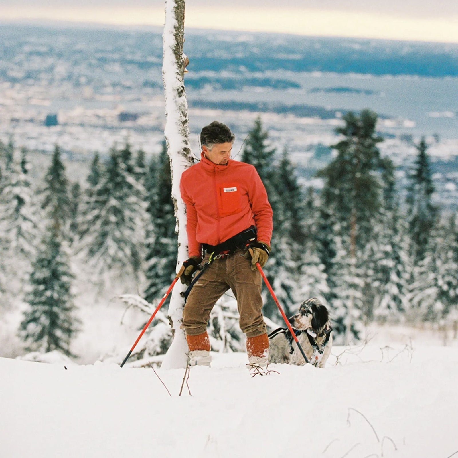 Concord Regular Knickerbockers | Men's Amundsen Sports Men's Knickerbockers