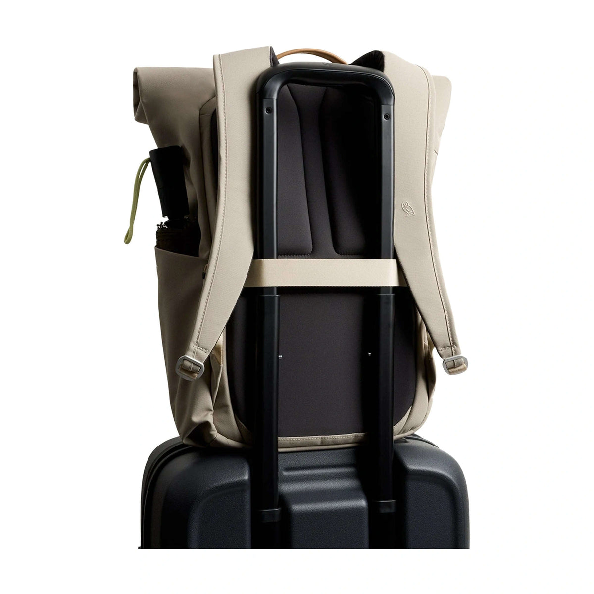 Classic Rolltop Bellroy BCRA-TNI-244 Backpacks 16L / Tahini