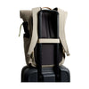 Classic Rolltop Bellroy BCRA-TNI-244 Backpacks 16L / Tahini