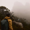Venture Grab Pack Bellroy BVPA-BLK-246 Backpacks One Size / Black