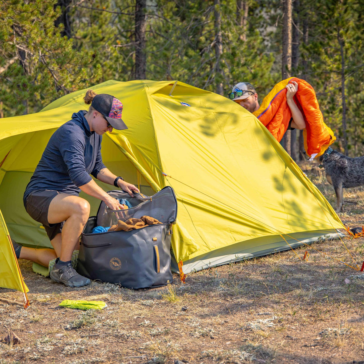 Blacktail Hotel 3