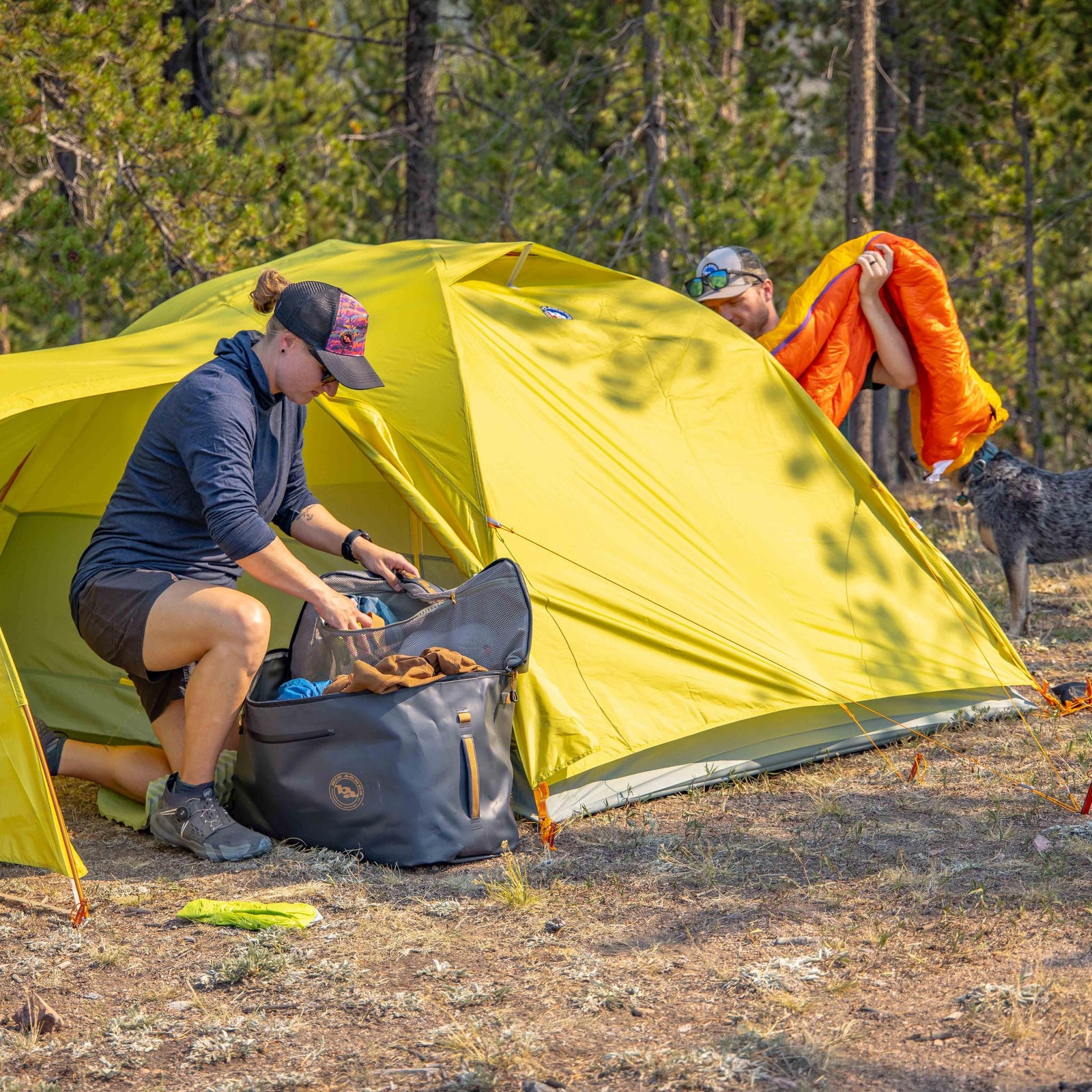Blacktail Hotel 3