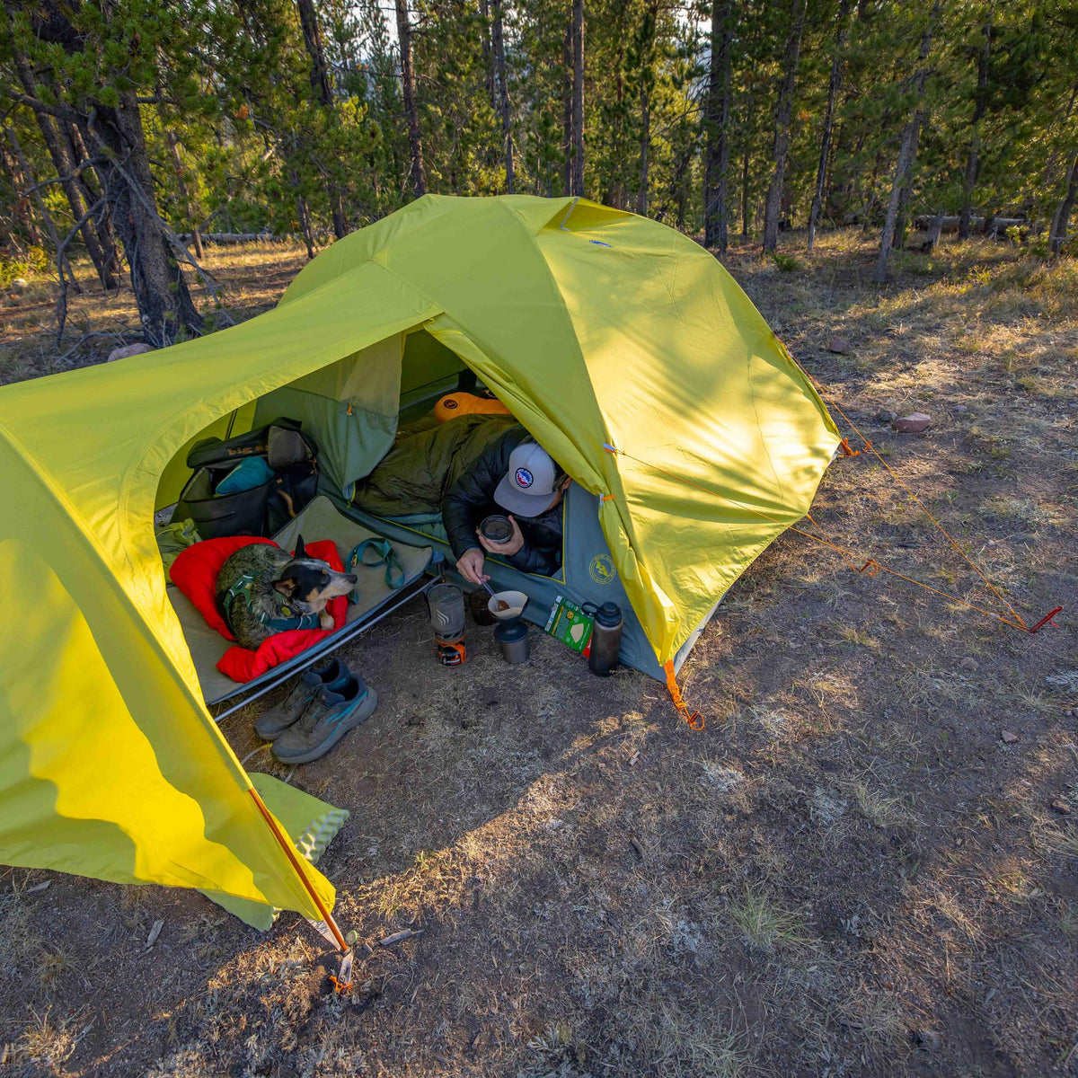 Blacktail Hotel 3
