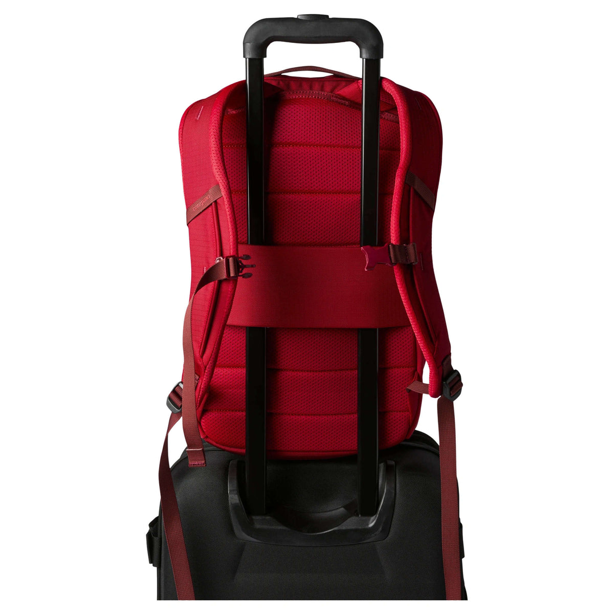 Allpa Daypack | 18L Cotopaxi A18-F26-SPI Backpacks 18L / Spicy