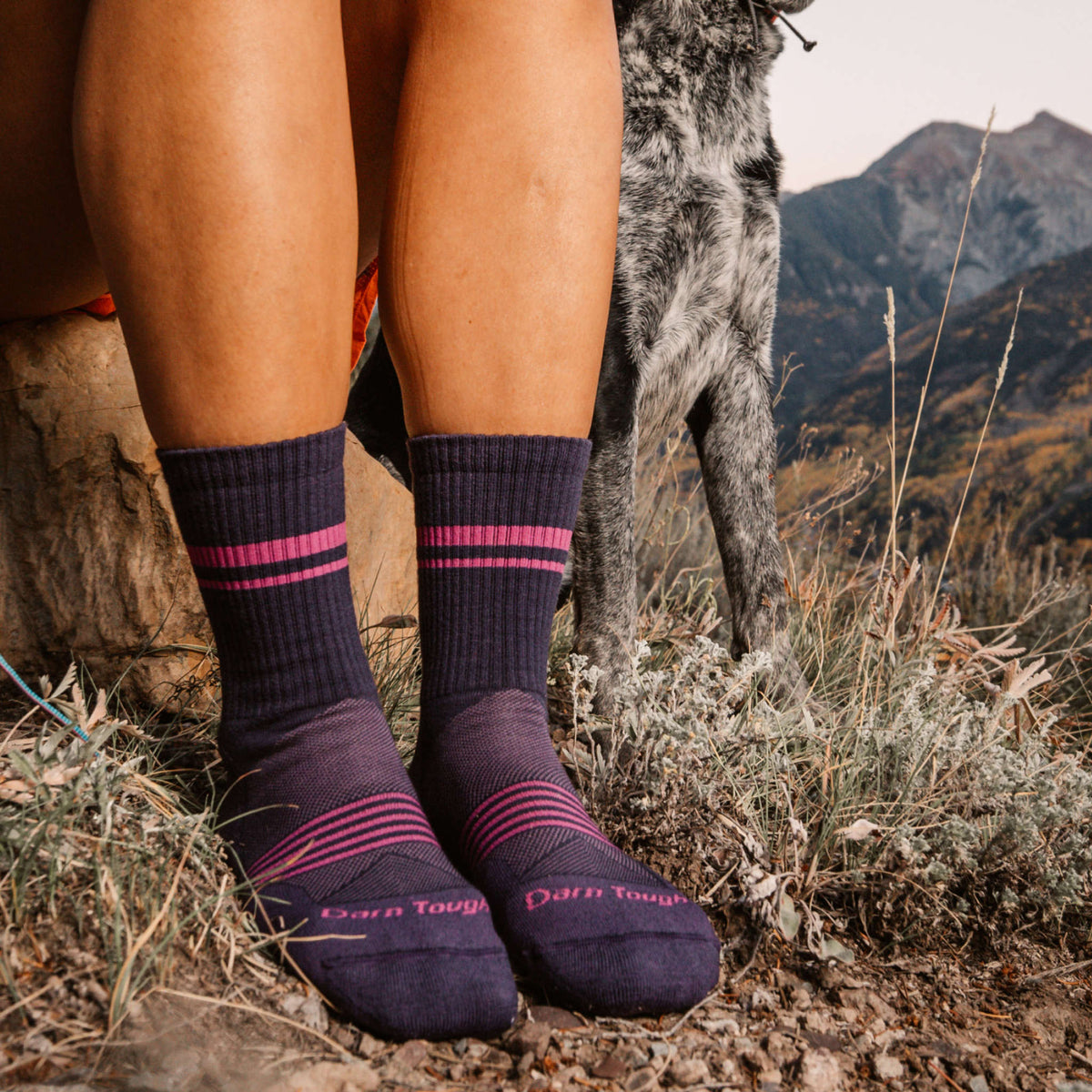 Element Micro Crew Lightweight | Cushion | Women's Darn Tough Women's Socks