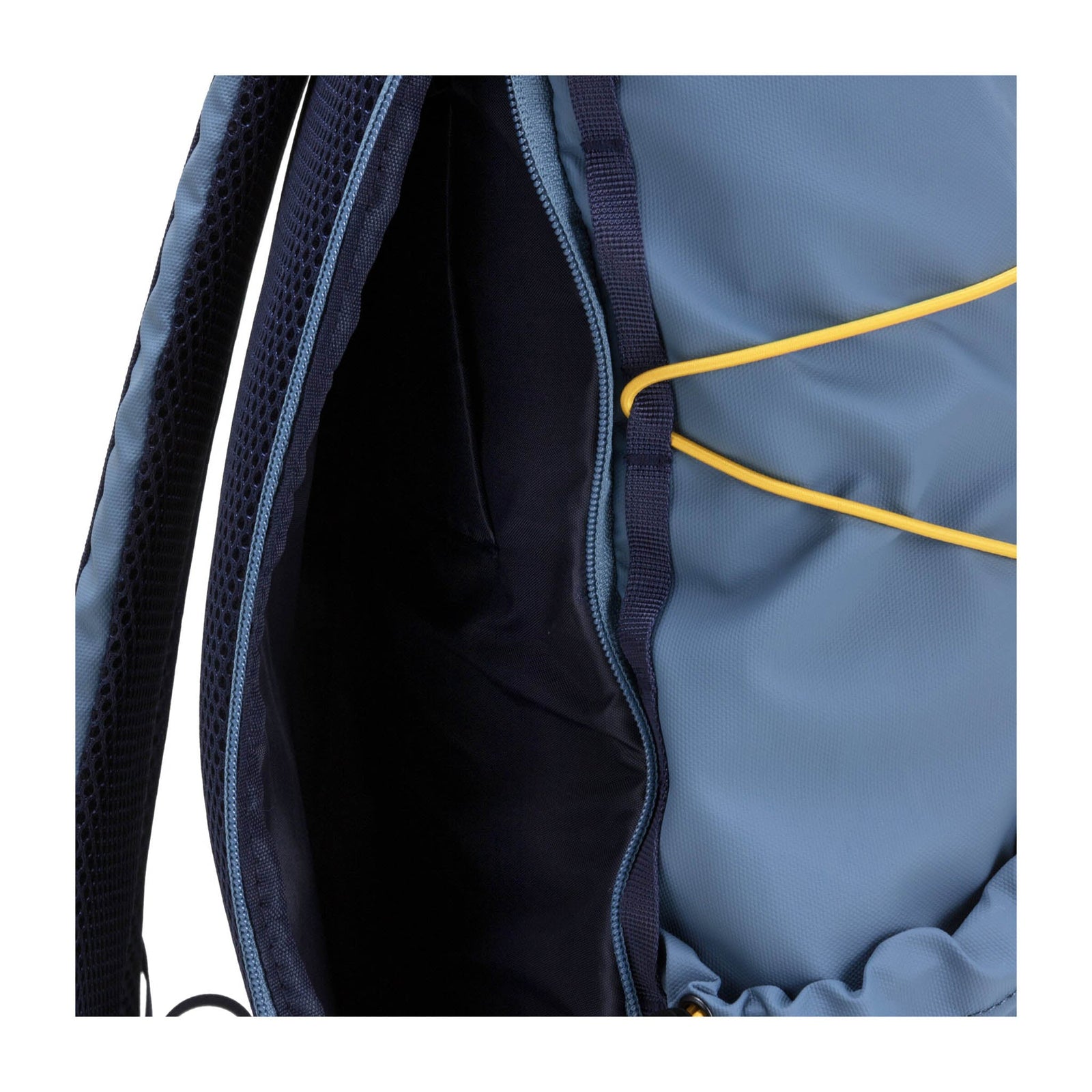 Dayle Roll Top Backpack Elliker 34001-STEELBLUE Backpacks 21L / Steelblue