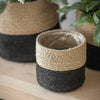 Jute Striped Pots | Set of 3 Garden Trading POJU01 Planters Set of 3 / Black / Natural