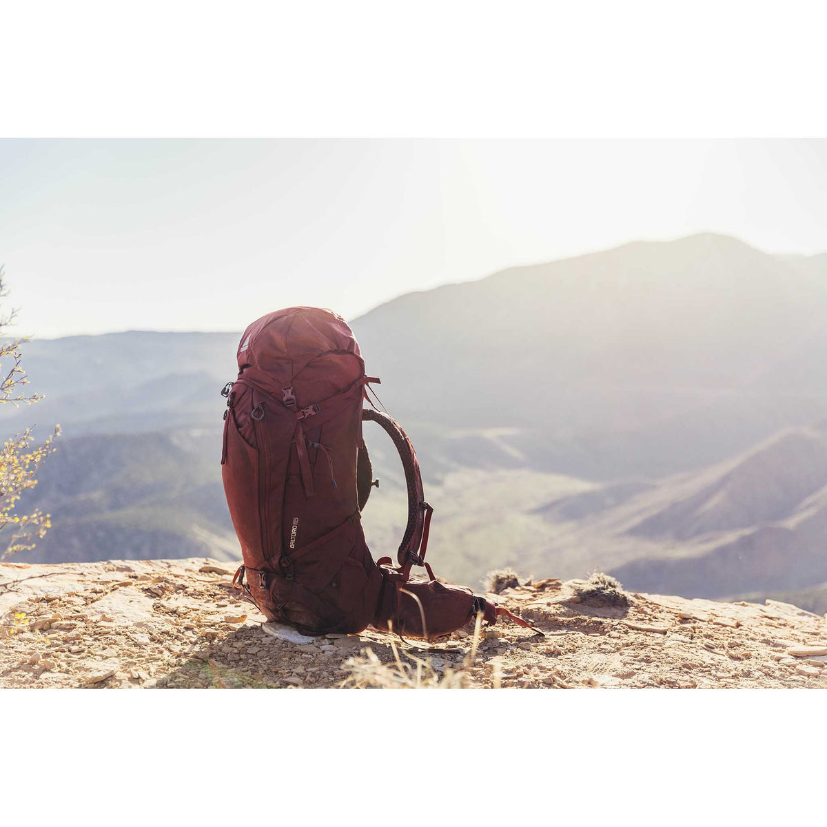 Baltoro 65 Gregory Backpacks