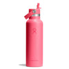 21 oz Standard Mouth w/ Flex Straw Cap Hydro Flask S21CFS668 Water Bottles 21 oz / Popstar Pink