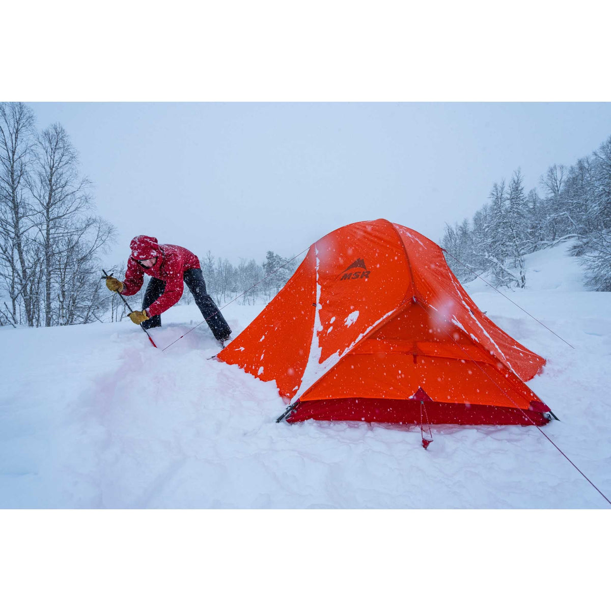 Access 3 Tent MSR 13133 Tents 3P / Green