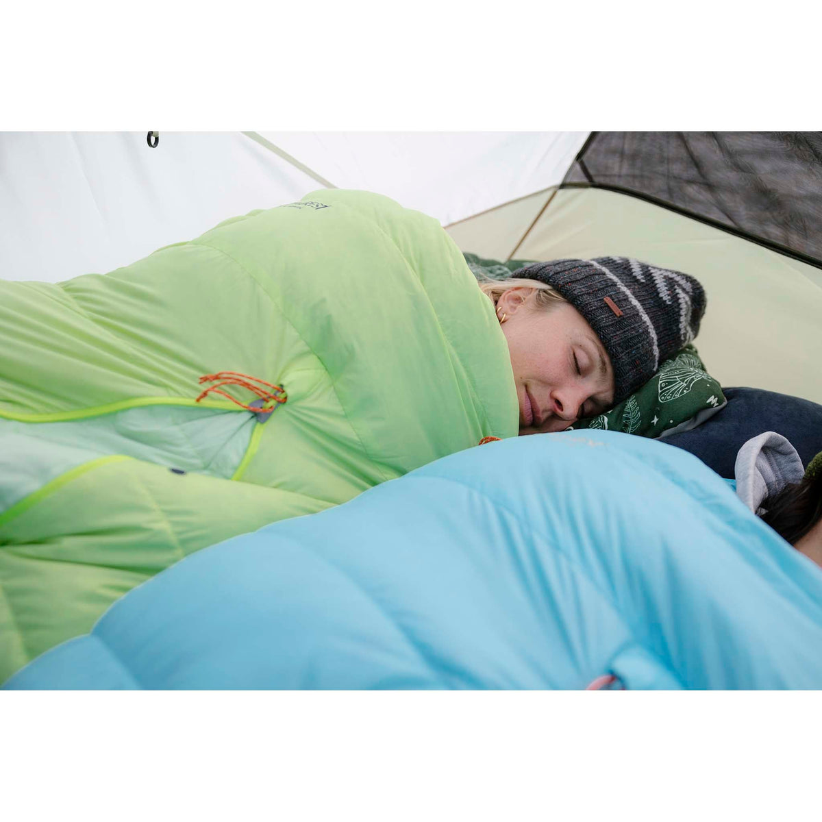 Elixir 4 Tent MSR Tents 4P / Green